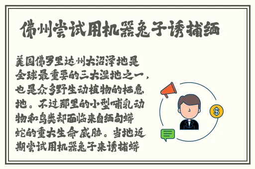 公交车两个人一前一后